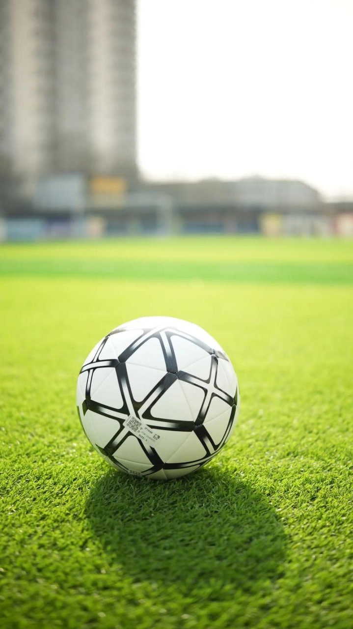 足球教练和球队管理场景